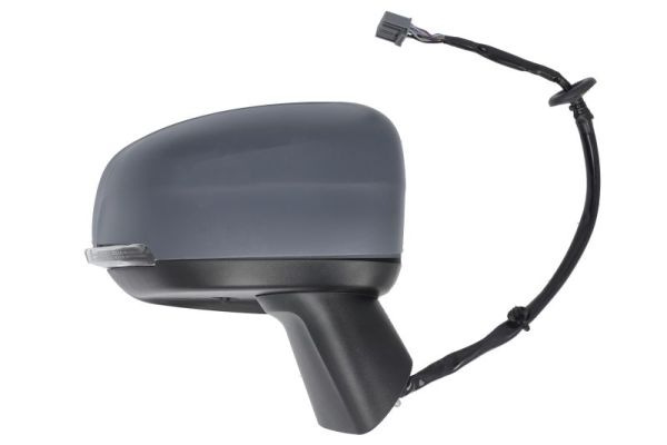 Blic Buitenspiegel 5402-24-2025313P