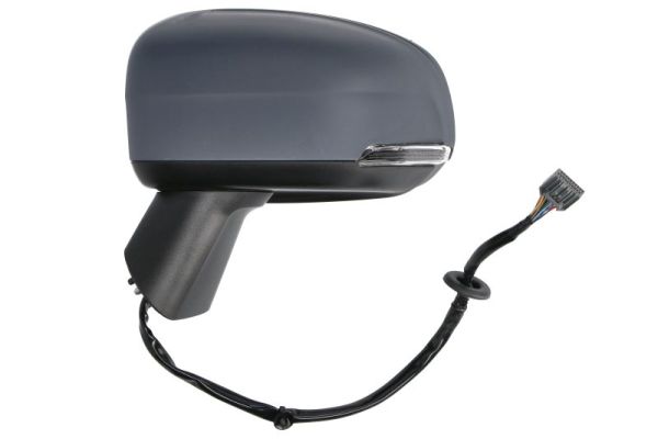 Blic Buitenspiegel 5402-24-2025314P