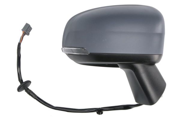 Blic Buitenspiegel 5402-24-2025315P