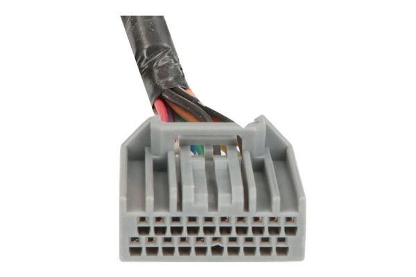 Blic Buitenspiegel 5402-24-2025315P