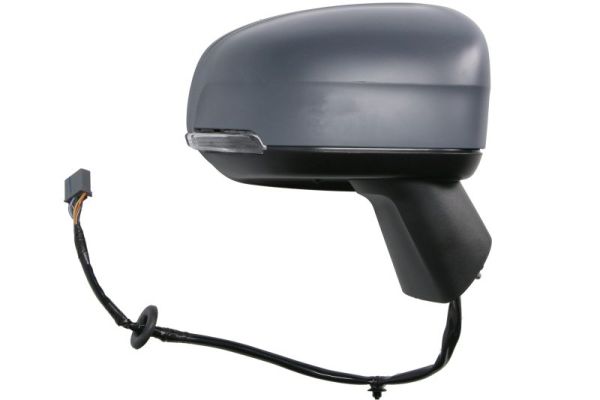 Blic Buitenspiegel 5402-24-2025317P