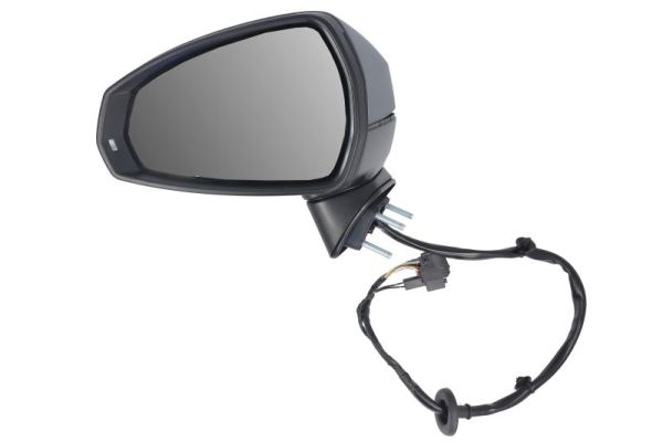 Blic Buitenspiegel 5402-25-0047310P