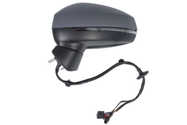 Blic Buitenspiegel 5402-25-0047312P