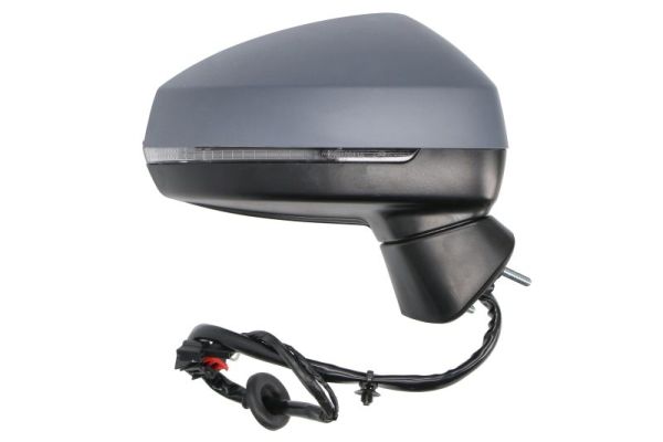 Blic Buitenspiegel 5402-25-0047313P