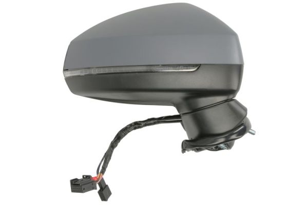 Blic Buitenspiegel 5402-25-0047317P