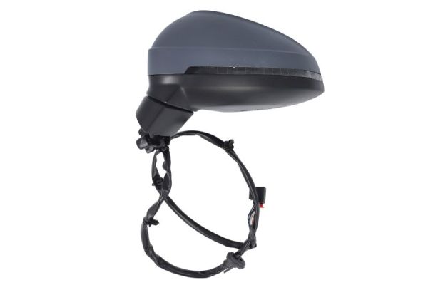 Blic Buitenspiegel 5402-25-0054310P