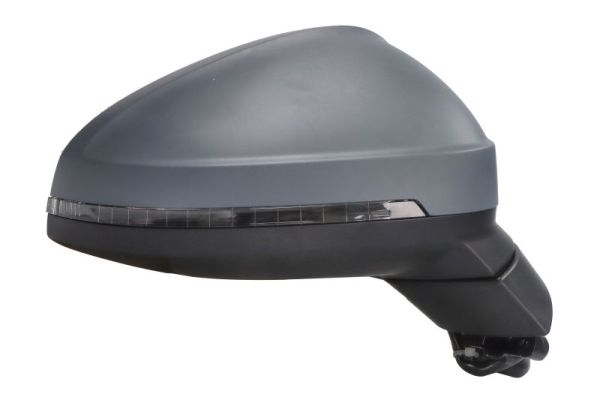 Blic Buitenspiegel 5402-25-0054311P