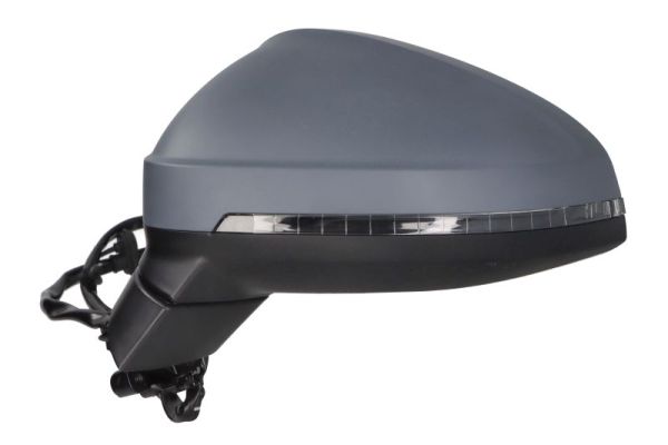 Blic Buitenspiegel 5402-25-0054312P