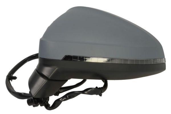 Blic Buitenspiegel 5402-25-0054312P