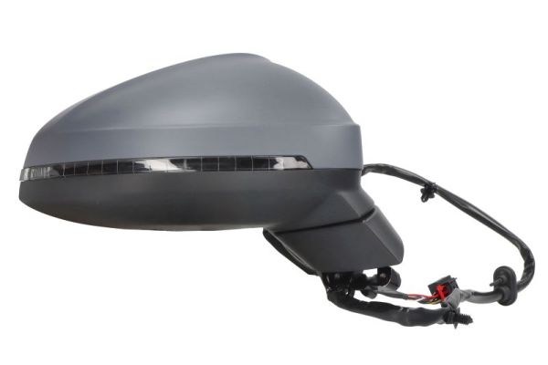 Blic Buitenspiegel 5402-25-0054313P