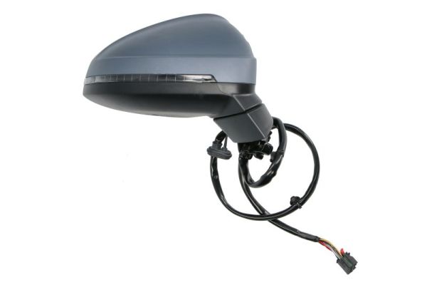 Blic Buitenspiegel 5402-25-0054314P