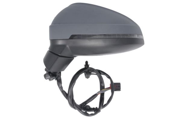 Blic Buitenspiegel 5402-25-0054316P