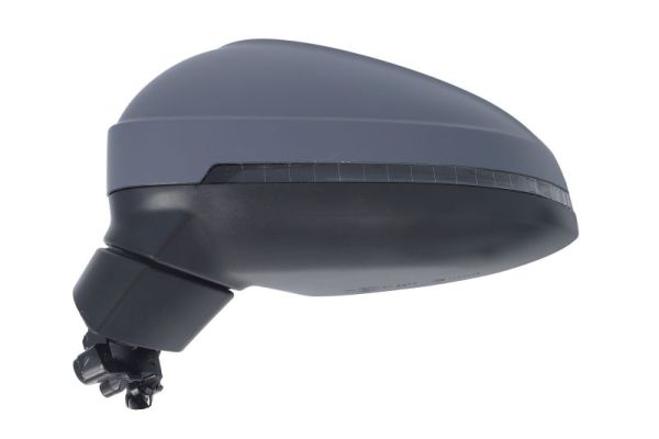 Blic Buitenspiegel 5402-25-0054318P