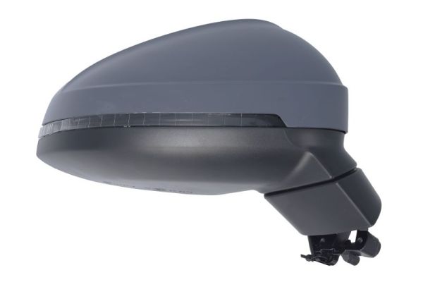 Blic Buitenspiegel 5402-25-0054319P