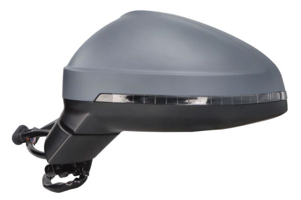 Blic Buitenspiegel 5402-25-0054320P