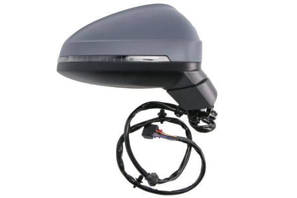 Blic Buitenspiegel 5402-25-0054321P