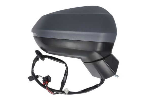 Blic Buitenspiegel 5402-25-0067311P