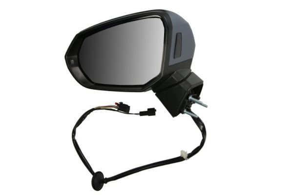 Blic Buitenspiegel 5402-25-0067312P