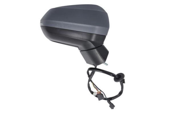 Blic Buitenspiegel 5402-25-0067313P