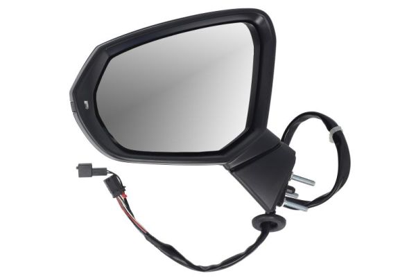 Blic Buitenspiegel 5402-25-0067314P