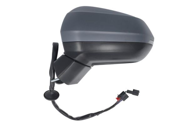 Blic Buitenspiegel 5402-25-0067314P