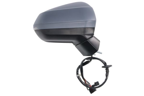 Blic Buitenspiegel 5402-25-0067315P