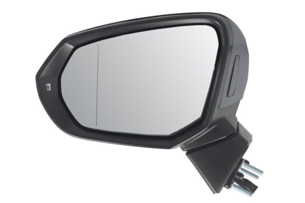 Blic Buitenspiegel 5402-25-0067316P