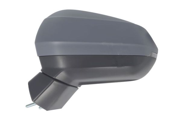 Blic Buitenspiegel 5402-25-0067316P