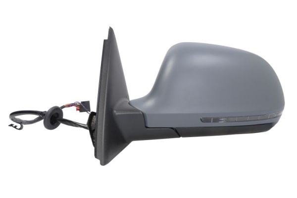 Blic Buitenspiegel 5402-25-0068310P