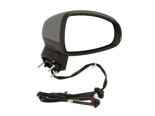 Blic Buitenspiegel 5402-25-044362P