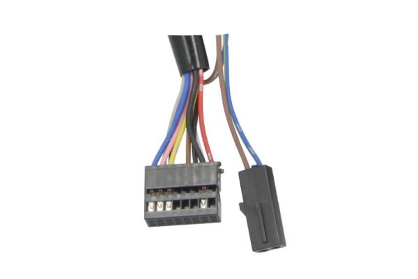 Blic Buitenspiegel 5402-25-051333P