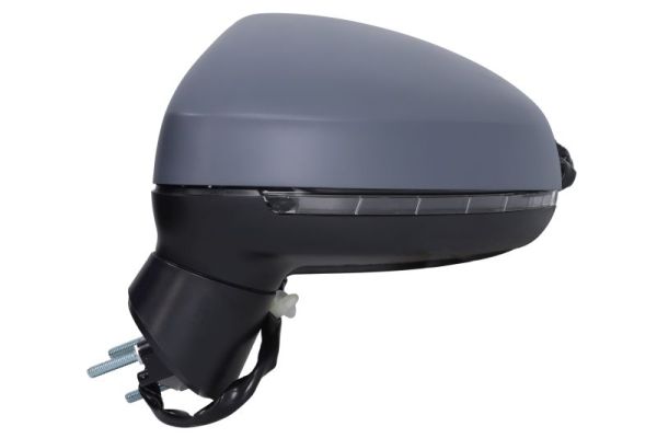 Blic Buitenspiegel 5402-25-1629312P