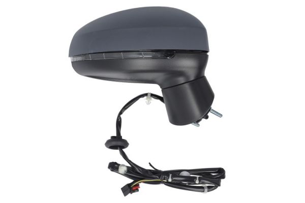 Blic Buitenspiegel 5402-25-1629313P