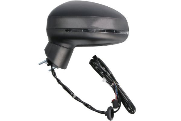 Blic Buitenspiegel 5402-25-1629314P