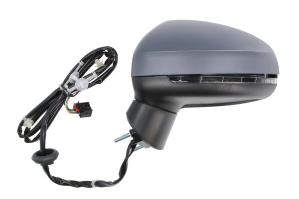 Blic Buitenspiegel 5402-25-1629316P