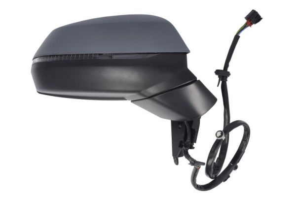 Blic Buitenspiegel 5402-25-1875315P