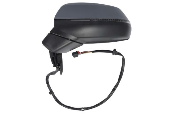 Blic Buitenspiegel 5402-25-1875316P