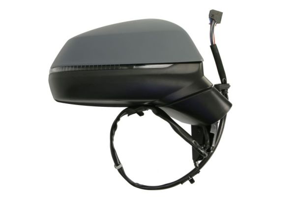 Blic Buitenspiegel 5402-25-1875319P