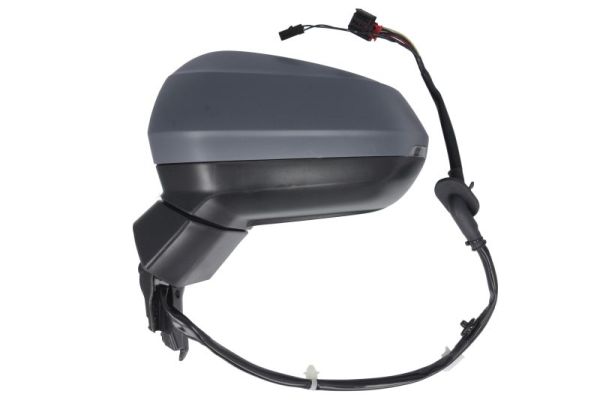 Blic Buitenspiegel 5402-25-2178310P