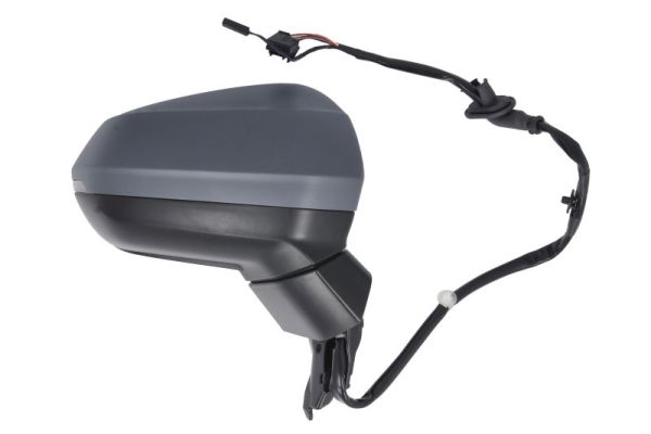 Blic Buitenspiegel 5402-25-2178311P