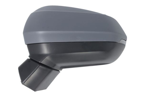 Blic Buitenspiegel 5402-25-2178312P