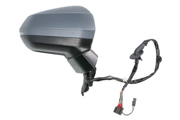 Blic Buitenspiegel 5402-25-2178313P