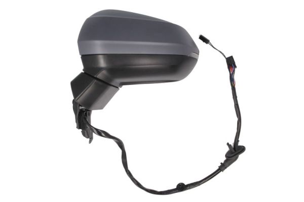 Blic Buitenspiegel 5402-25-2178314P