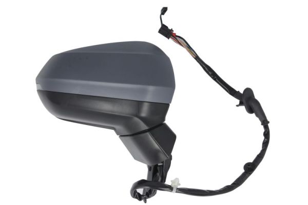 Blic Buitenspiegel 5402-25-2178315P