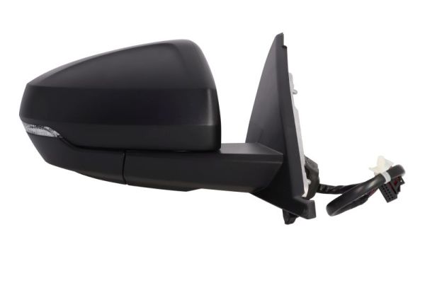 Blic Buitenspiegel 5402-25-2205311P