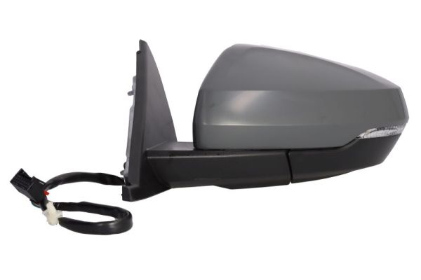 Blic Buitenspiegel 5402-25-2205314P