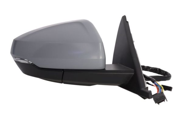 Blic Buitenspiegel 5402-25-2205317P