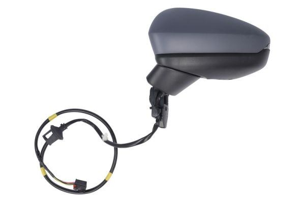 Blic Buitenspiegel 5402-25-2320310P