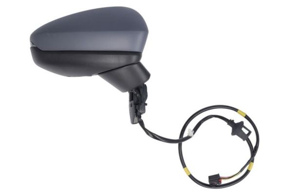 Blic Buitenspiegel 5402-25-2320311P