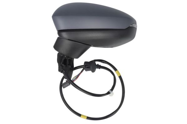 Blic Buitenspiegel 5402-25-2320312P